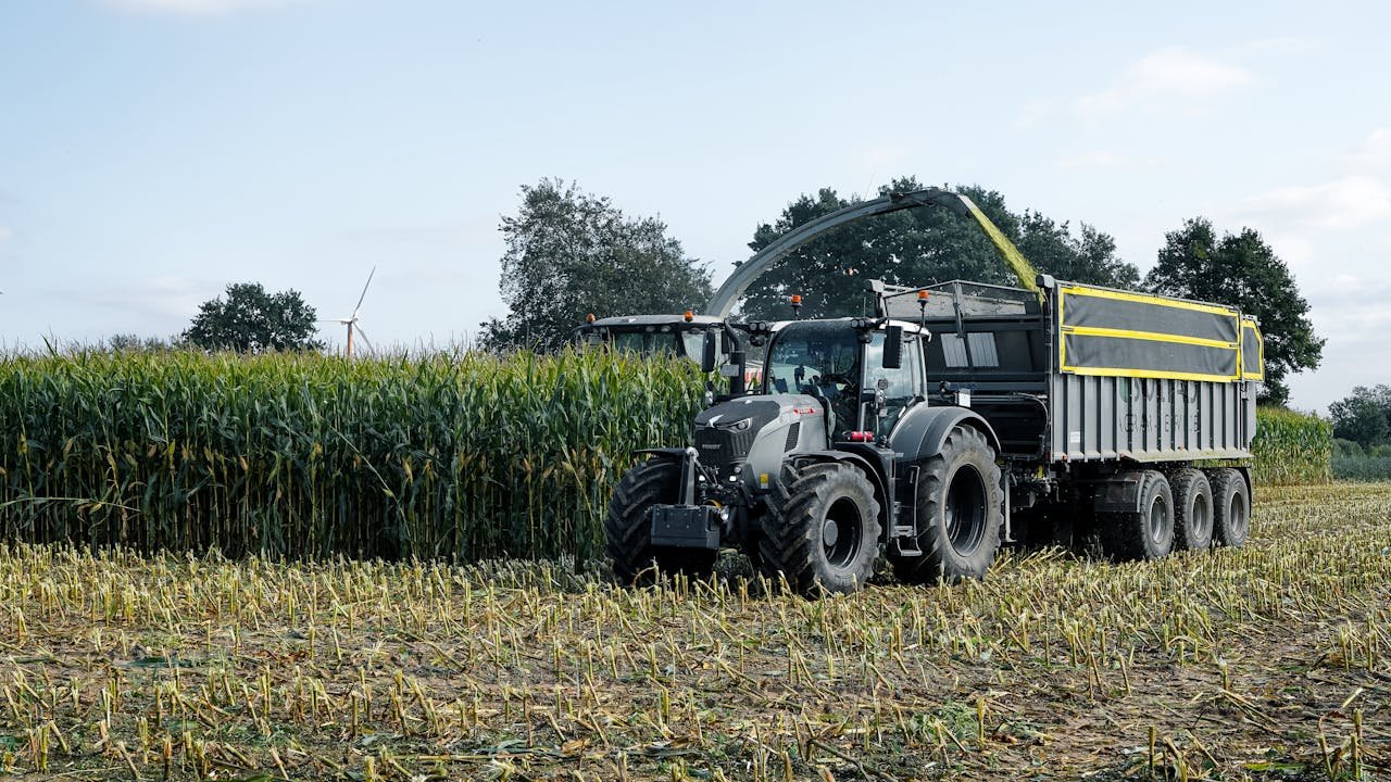 Crafting Captivating Headlines: Your awesome post title goes here A modern tractor harvesting corn on a sunny autumn day in Gülzow, Schleswig-Holstein.